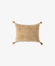 Load image into Gallery viewer, Jolie Handblock Velvet Cushion