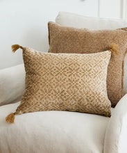 Load image into Gallery viewer, Jolie Handblock Velvet Cushion